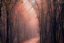 开云体育官方网站-约基奇成为全场焦点，勇士战术压制山西队，一场跨越篮球世界的战术对话