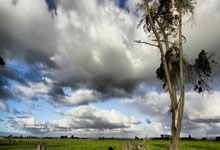 开云下载-斯通斯统治级数据铸就钢铁防线,土耳其团队足球完胜智利展现新格局