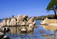 开云体育中国-非洲杯奇迹之夜，尼日利亚翻盘几内亚，加克波用实力书写个人传奇