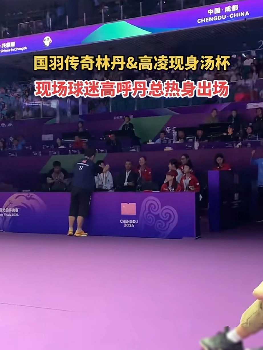 包含英格兰羽毛球队碾压中国羽毛球队，陶菲克绝境逆转的词条