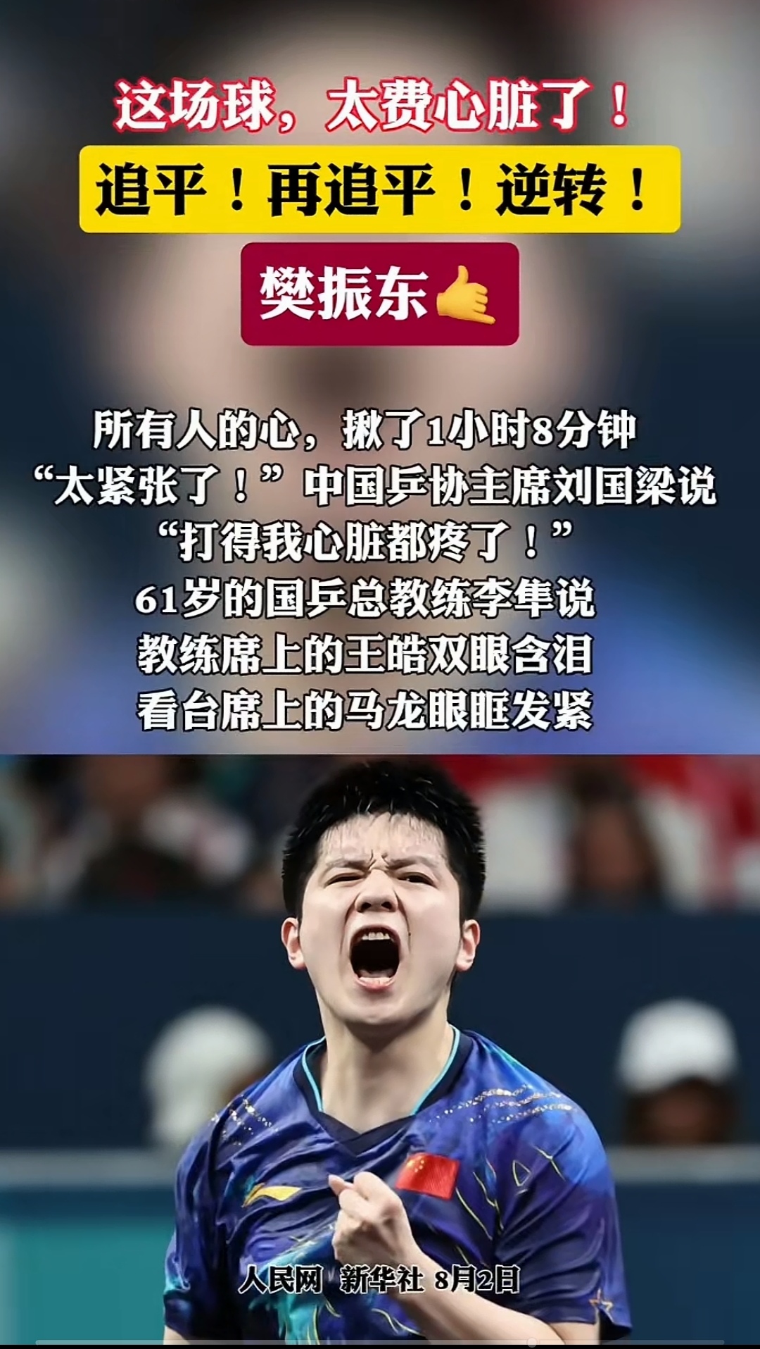 日本队力克中国队，樊振东点燃赛场的简单介绍